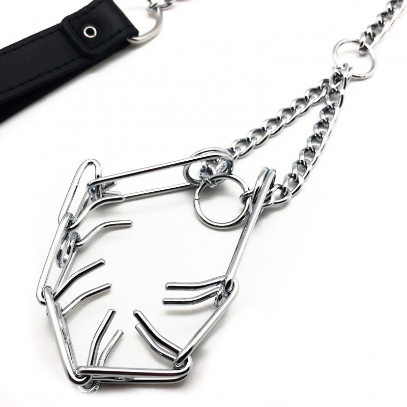 Laisse avec collier Crochets pour pénis – Image 2